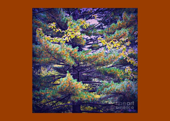 Nature Greeting Card featuring the photograph Autumn Pine by Frank J Casella