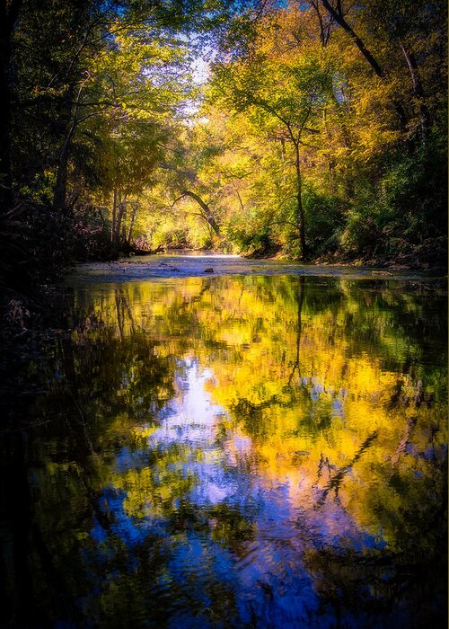 Fall Greeting Card featuring the photograph Autumn Reflections by Allin Sorenson