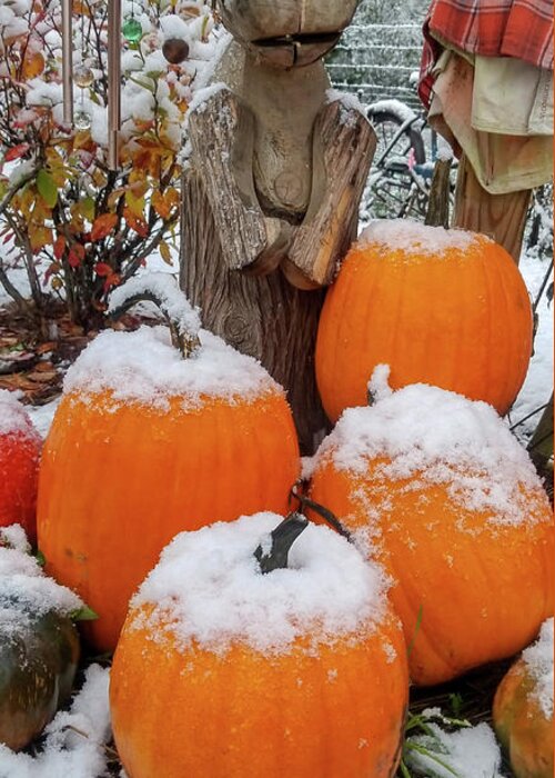 Pumpkin Greeting Card featuring the photograph Autumn Snow Bear by Brook Burling