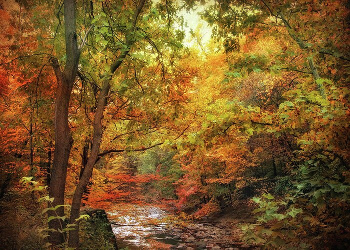 Autumn Greeting Card featuring the photograph Autumn Stream by Jessica Jenney