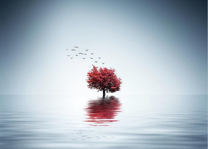 Red Greeting Card featuring the photograph Autumn Trees Reflected Blue Lake by Bess Hamiti