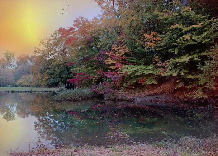 Morning Greeting Card featuring the photograph Autumns Morning by John Rivera