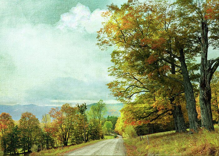 Roads Greeting Card featuring the photograph Back Roads by John Rivera