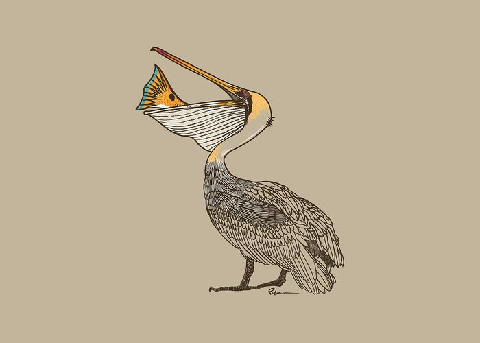 Brown Pelican Greeting Card featuring the digital art Bad Day Good Day by Kevin Putman