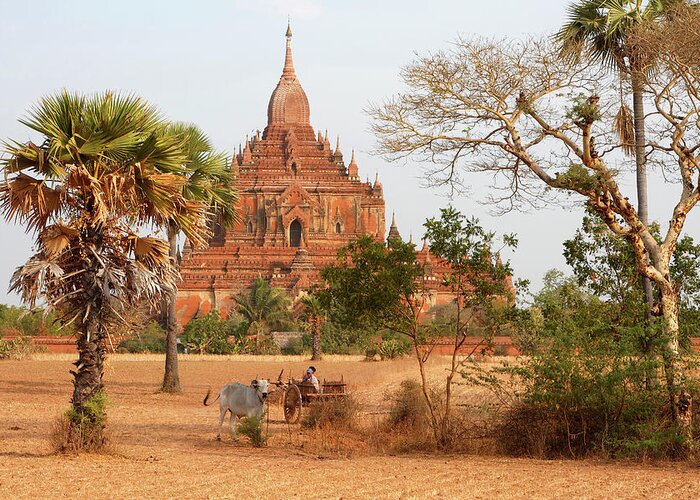Working Animal Greeting Card featuring the photograph Bagan Sunrise - Myanmar by Jlr