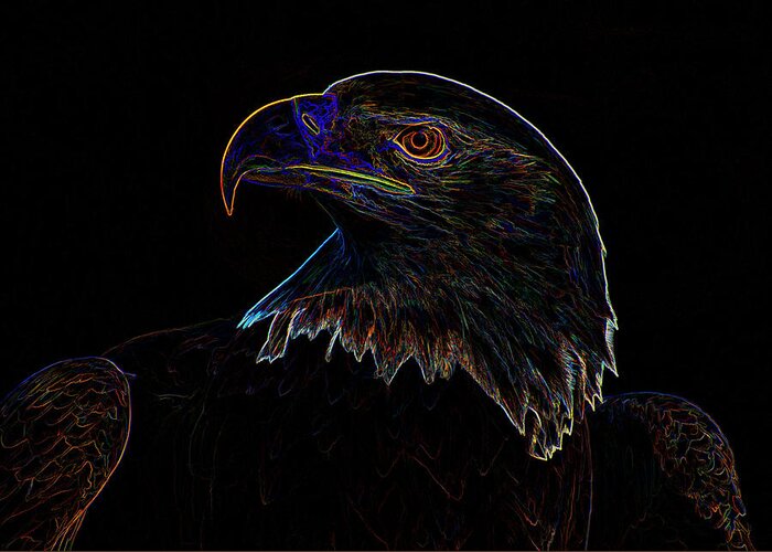 Bald Eagle Greeting Card featuring the digital art Bald Eagle Digital art by Flees Photos