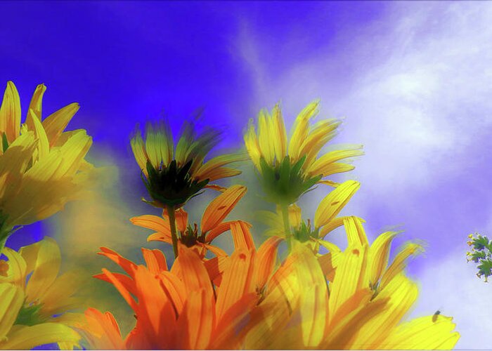 Balsam Greeting Card featuring the digital art Balsam Root With Amsinckia Douglasiana in Sage Brush Steppe by Lisa Kaiser