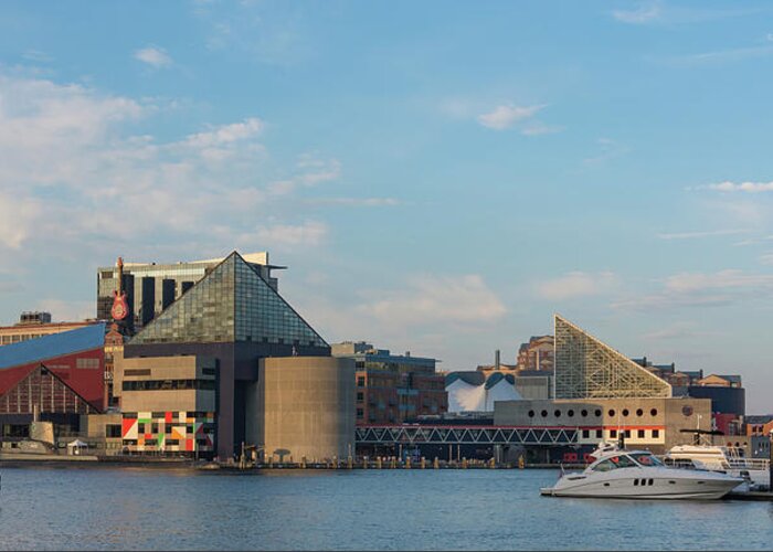 Baltimore Greeting Card featuring the photograph Baltimore Harbor on a Summer Evening by Liz Albro