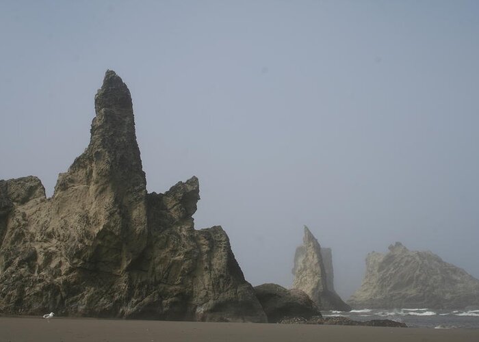 Dylan Punke Greeting Card featuring the photograph Bandon Rocks Faint by Dylan Punke