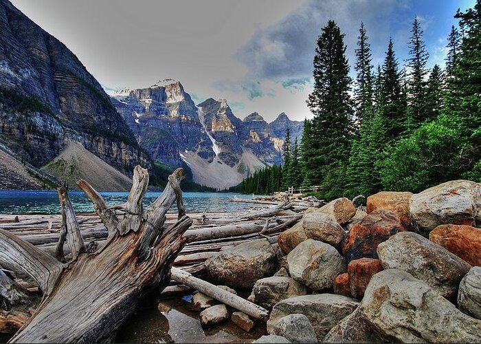 Tranquility Greeting Card featuring the photograph Banff National Park by Rex Montalban Photography