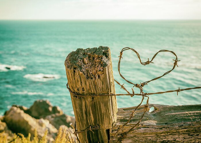 Barb Wire Love By The Sea 1 Greeting Card featuring the photograph Barb Wire Love By The Sea 1 by Joseph S Giacalone