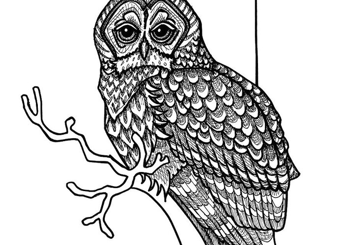 Animal Portrait Greeting Card featuring the drawing Barred Owl by Amy E Fraser