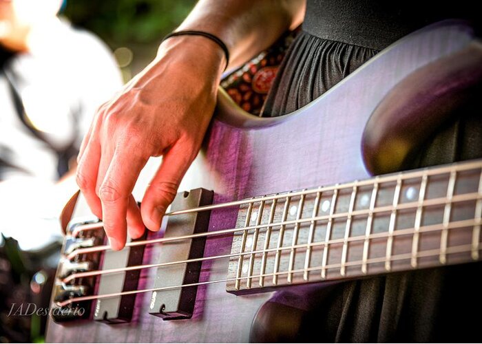 Bass Guitar Greeting Card featuring the photograph Delicate Bass by Joseph Desiderio