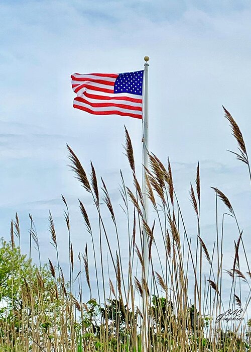 American Flag Greeting Card featuring the photograph Beach Stars and Stripes  by CAC Graphics