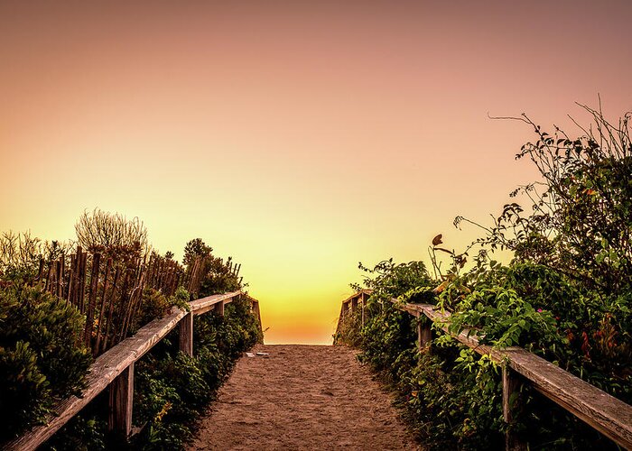 Beach Life Greeting Card featuring the photograph Path Over The Dunes At Sunrise. by Jeff Sinon