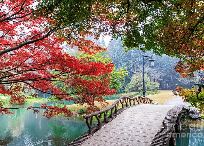 Small Greeting Card featuring the photograph Beautiful Park In Autumn by Zhao Jiankang