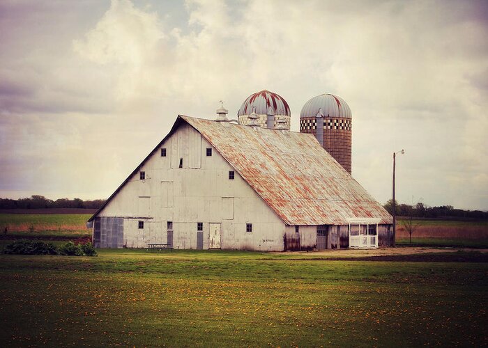 Barn Greeting Card featuring the photograph Beauty by Julie Hamilton