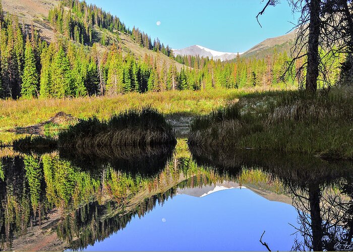 Pond Greeting Card featuring the photograph Beaver Pond Reflection by Aaron Spong