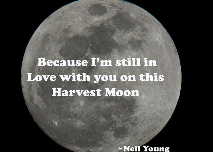 Harvest Moon Greeting Card featuring the photograph Because I'm Still in Love with You - Neil Young by Dale Powell