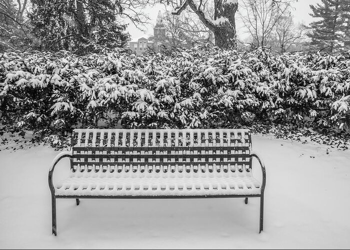Big Ten Greeting Card featuring the photograph Bench in Winter by John McGraw