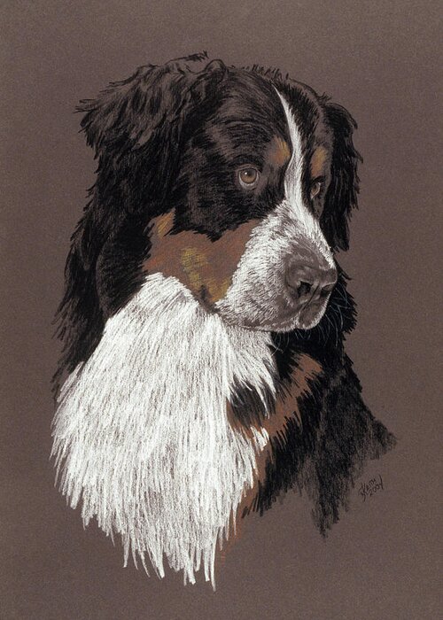 Bernice Mountain Dog Greeting Card featuring the painting Bernese Mt. Dog by Barbara Keith