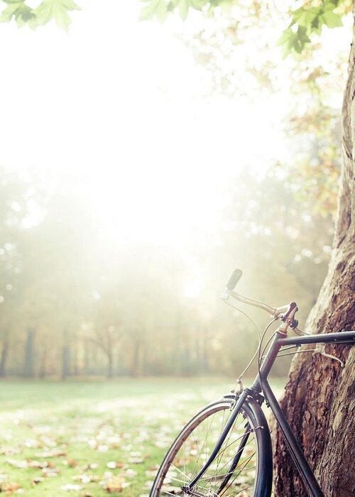 Tranquility Greeting Card featuring the photograph Bicycle Leaned On Big Tree In Sunlight by Guido Mieth