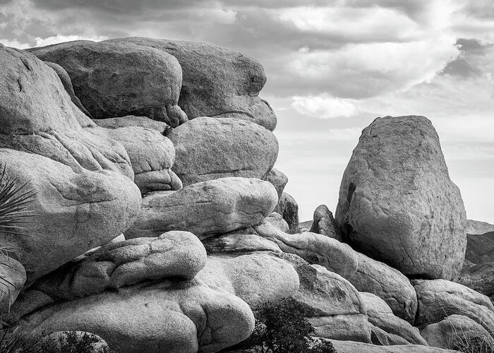Black And White Greeting Card featuring the photograph Big Rock Joshua Tree 7411 by Amyn Nasser