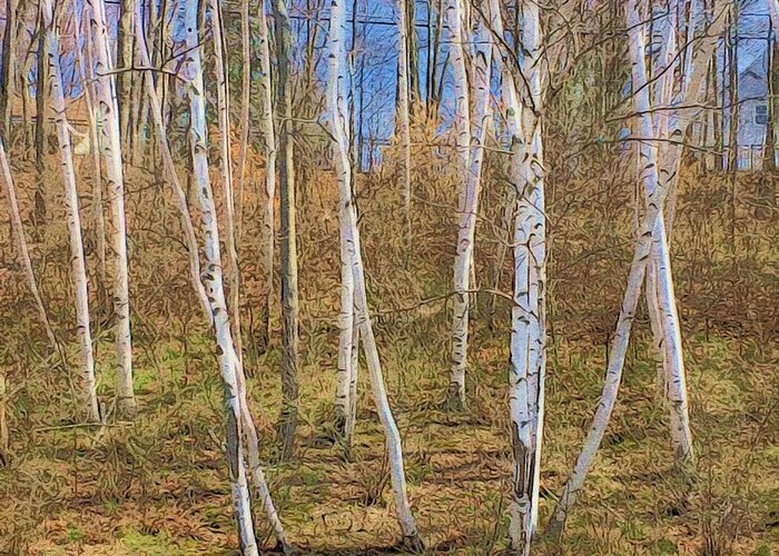 Woods Greeting Card featuring the digital art Birch Grove on the side of the hill by Steve Glines