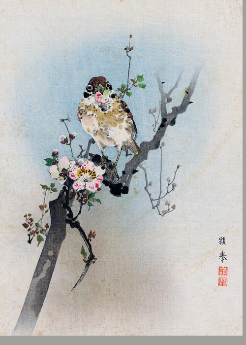 Rioko Greeting Card featuring the painting Bird and Petal by Rioko