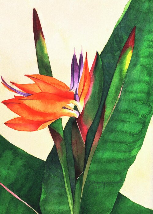 Bird Of Paradise Flower Greeting Card featuring the painting Bird Of Paradise by Mary Russel