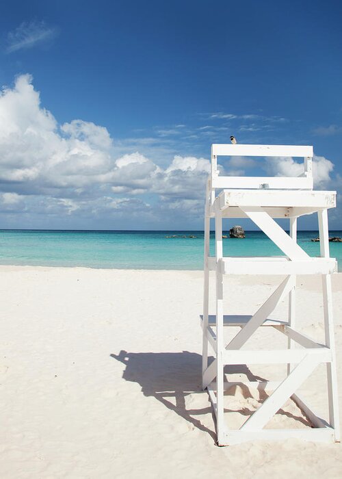 Scenics Greeting Card featuring the photograph Bird On A Lifeguard Chair, Horseshoe by Elisabeth Pollaert Smith
