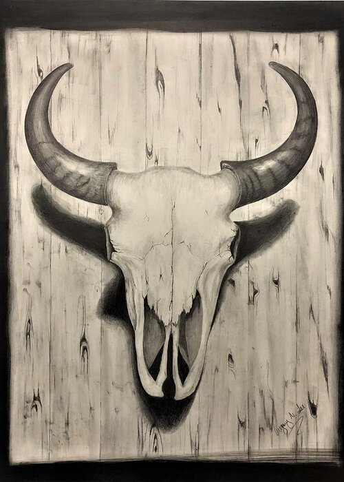 Bison Skull Greeting Card featuring the drawing Bison Skull by Gregory Lee