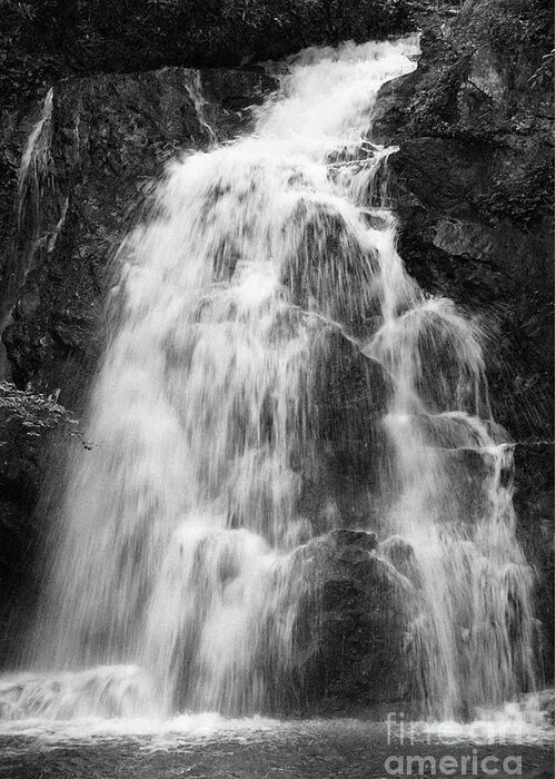 Tennessee Greeting Card featuring the photograph Black And White Waterfall by Phil Perkins