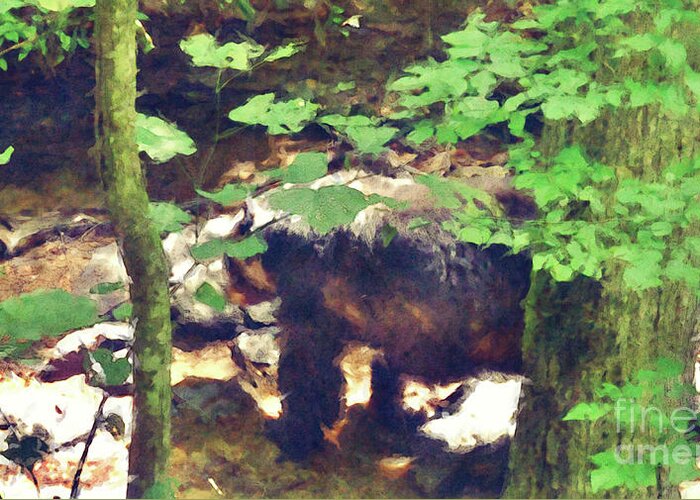 Bear Greeting Card featuring the digital art Black Bear In Woods by Phil Perkins