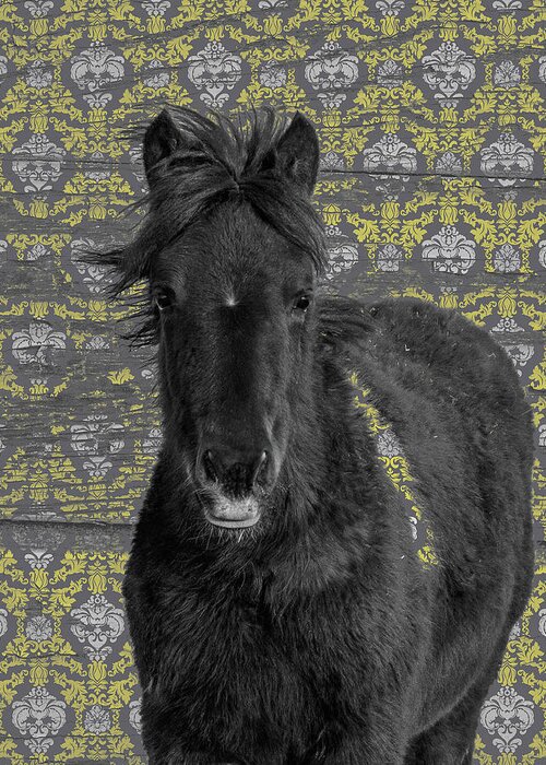 Horses Greeting Card featuring the photograph Blackie by Mary Hone