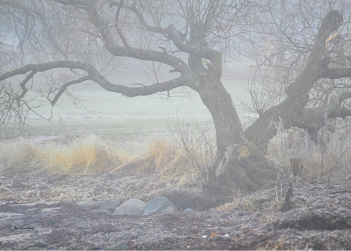 Contemporary Greeting Card featuring the photograph Blanket of Fog by Randi Grace Nilsberg