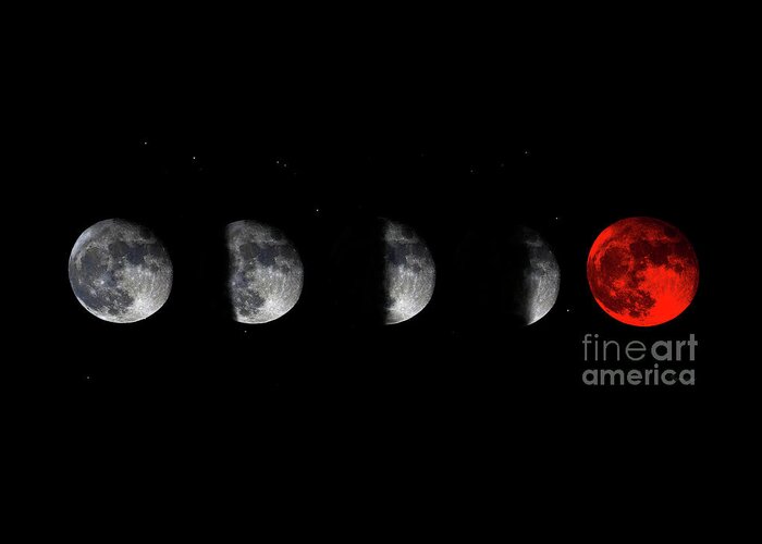 Bloodred Wolf Moon Greeting Card featuring the photograph Blood Red Wolf Supermoon Eclipse Series 873n by Ricardos Creations