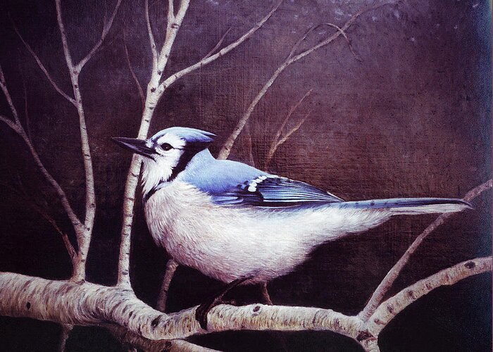 Blue Jay Greeting Card featuring the painting Blue Jay by Kevin Dodds