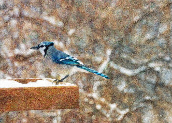 Blue Jay Greeting Card featuring the photograph Blue Jay Morning by Diane Lindon Coy