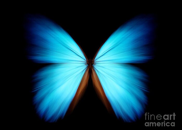 Beauty Greeting Card featuring the photograph Blue Morpho by Ethylalkohol