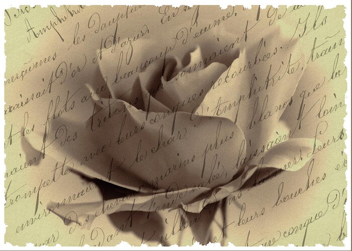 Rose Greeting Card featuring the photograph Blushing Rose by Cathy Kovarik