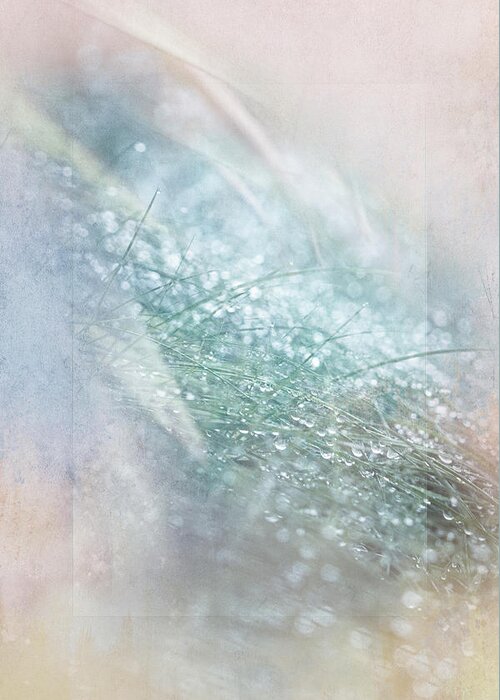 Photography Greeting Card featuring the digital art Bokeh Droplets by Terry Davis