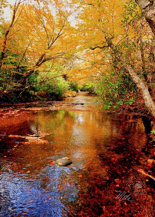 Mountain Greeting Card featuring the photograph Boone Fork Stream by Meta Gatschenberger