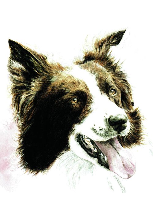 Watercolour Art By Patrice Greeting Card featuring the painting Border Collie by Patrice Clarkson