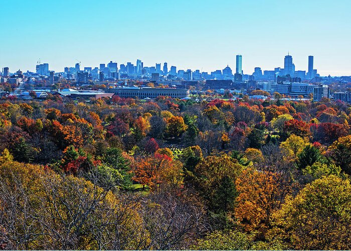 Boston Greeting Card featuring the photograph Boston Through the Autumn Trees Boston MA Sunny Day Mount Auburn Cemetery by Toby McGuire