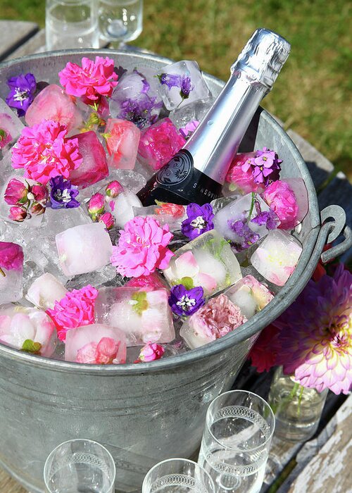 Bottle Of Sparkling Wine, Flowers And Flower Ice Cubes In Zinc Bucket In  Garden Greeting Card by Simon Scarboro
