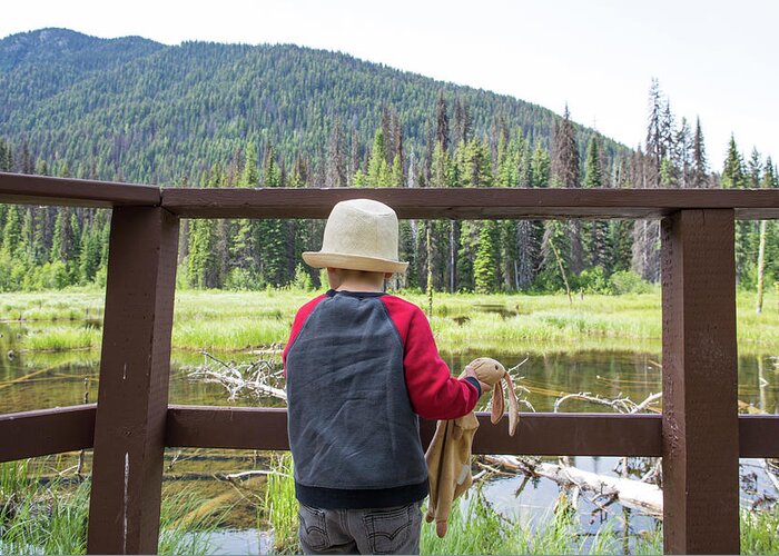 Boy Greeting Card featuring the photograph Boy Looking At Natural Wetlands Through A Wooden Railing. by Cavan Images