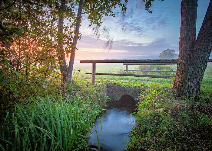 Ip_71307989 Greeting Card featuring the photograph Bridge Leads Over Small Stream In The Pasture In The Morning Mood by Christoph Olesinski