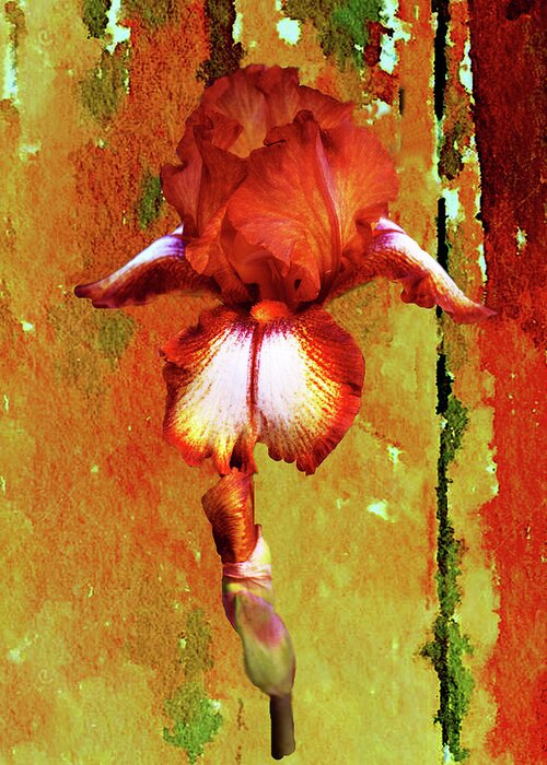 Iris Greeting Card featuring the digital art Bronze Watercolor Iris by Linda Cox