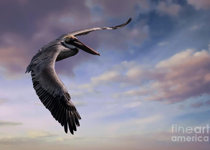 Bird Greeting Card featuring the photograph Brown Pelican by Lawrence Burry